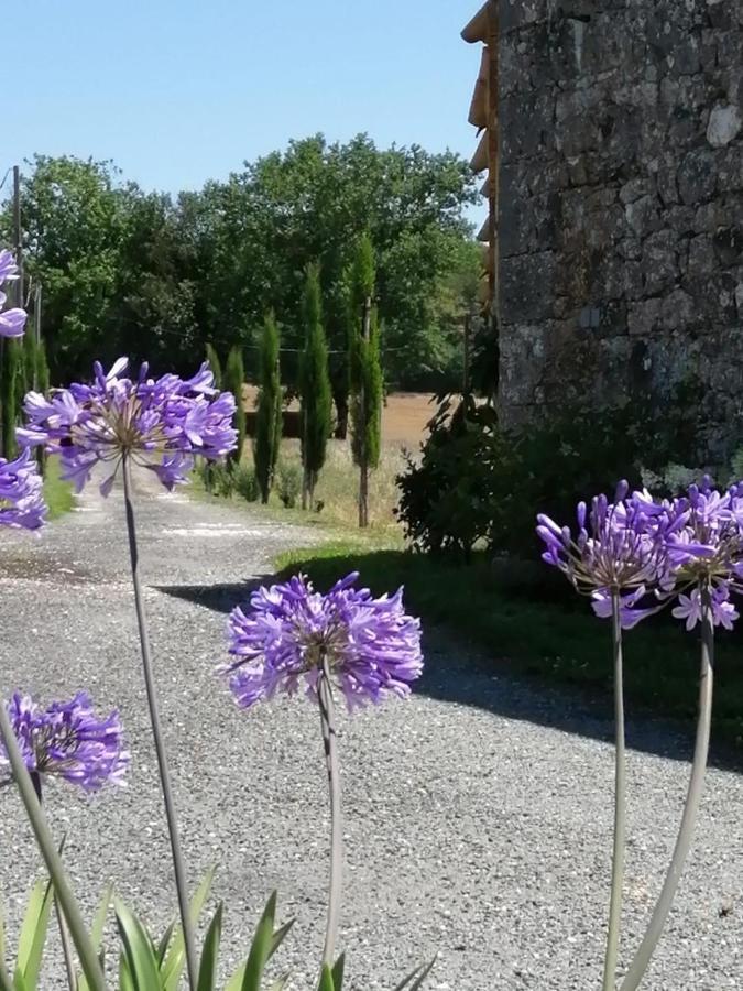 Les Cypres De Crose II Vila Issigeac Exterior foto